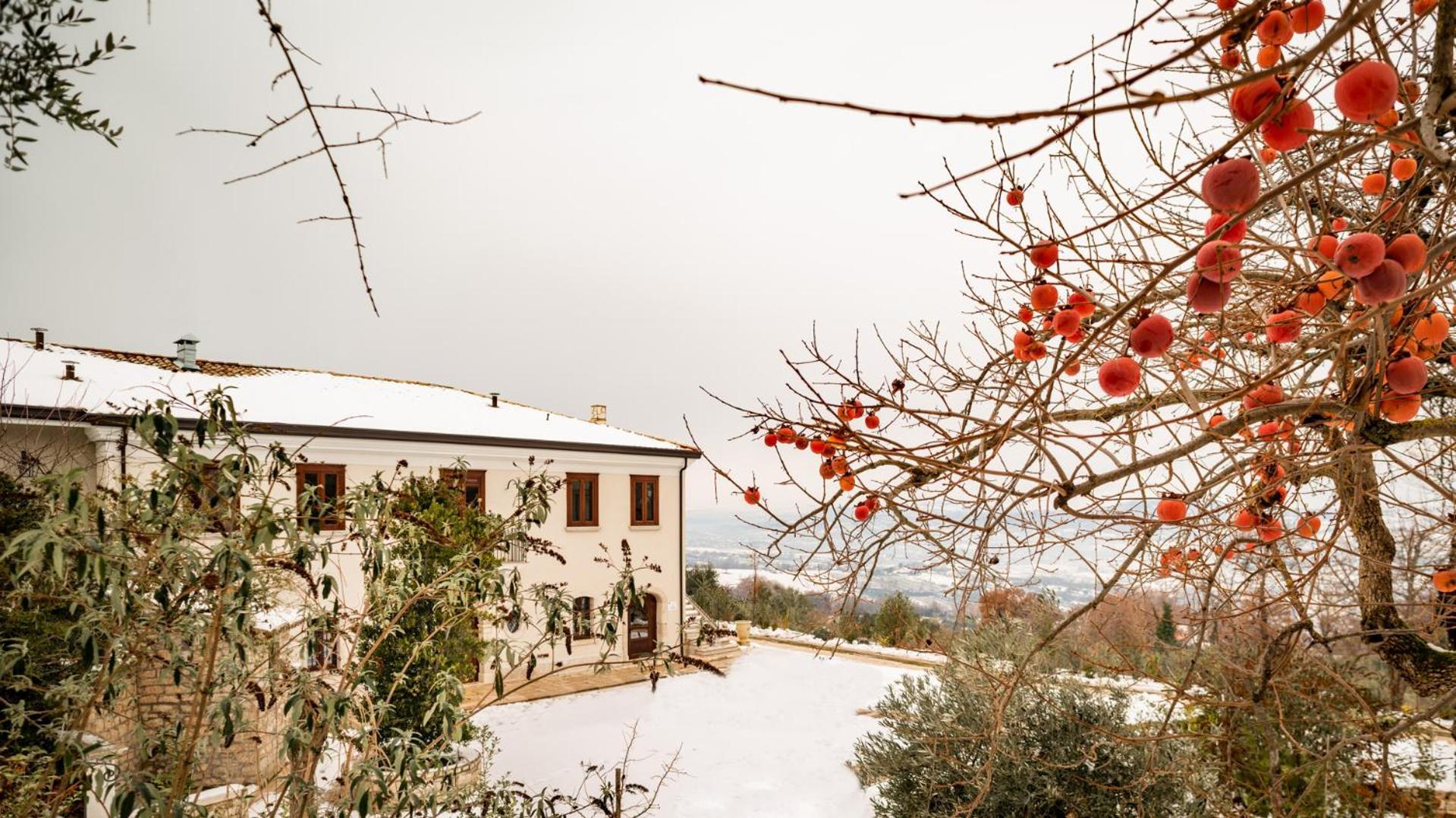 Il Mulino Della Signora Luxury Frigento